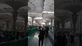 today in masjid nabawi #short