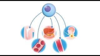 Regenerative Medicine - An Introduction (3 Minutes Microlearning)