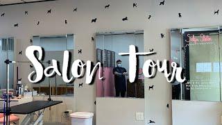 Posh Paws Grooming Salon Tour