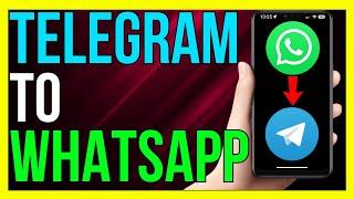 How to Forward Messages From Telegram to WhatsApp 2024