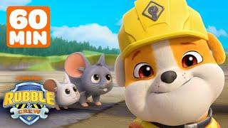 Rubble's Silliest Animal Rescues in Builder Cove! | 1 Hour Compilation | Rubble & Crew