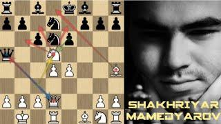 THE STRONGEST WOMAN IN CHESS RESIGNED IN 11 MOVES | Mamedyarov vs Polgar, 2014 | SKYEchess