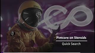 Pimcore Data Director | Pimcore on Steroids – Part 5: Quick Search