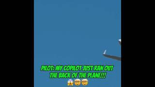 Copilot jumps out of PLANE!  #atc #aviation #emergency #cockpit