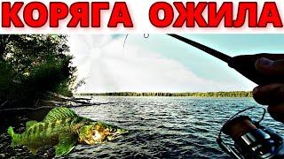 РЫБАЛКА НА ВОЛЖАНКЕ 46 ФИШ! Рыбалка на Оби. 2 дня с ночёвкой! Судак на джиг.