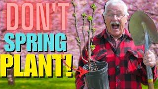 SPRING is NOT the BEST TIME to PLANT Trees and Shrubs!