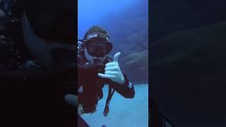 Diving in Lanzarote, Canaries, Spain