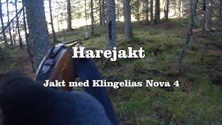 Harejakt Med Klingelias Nova 4