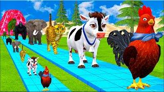 Paint & Animals Cow,Gorilla,Elephant,Lion,Tiger,Dinosaur, Fountain Crossing Transformation Cartoon