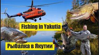 Рыбалка в Якутии за гранью реальности / Fishing in Yakutia beyond reality (Hucho taimen)