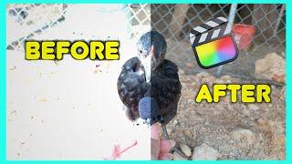 how to fix iphone footage in final cut pro | over exposed