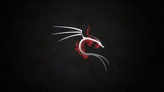 TOP THINGS TO DO AFTER INSTALLING KALI LINUX 2020