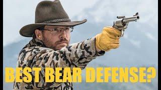 Best Handgun Cartridges for Bears