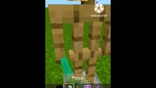 MINECRAFT VIRAL TIK TOK HACK // KARTHIK GAMING