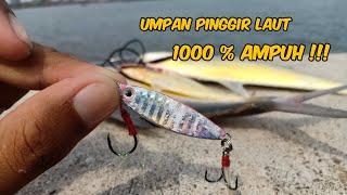 GILAA..!!! Umpan ini ampuh sekali untuk mancing di pinggir laut !!!