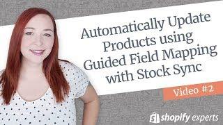 Automatically Update Products using Guided Field Mapping with Stock Sync