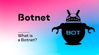 What is a Botnet?