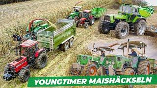 Youngtimer Maishäckseln | DEUTZ DX 8.30, CASE IH 1455, FENDT Traktoren uvm. | Mit MOTORSOUND
