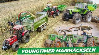 Youngtimer Tractors with great Motorsound chopping maize