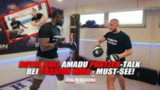 Royal Bull Amadu Pratzen-Talk bei Passion MMA - Must-See!