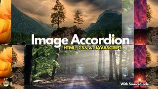 Image Accordion | Image Accordion in HTML CSS JavaScript | Accordion In JavaScript