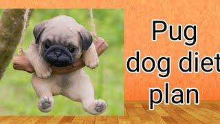 Pug dog diet plan/Pug dog diet chart