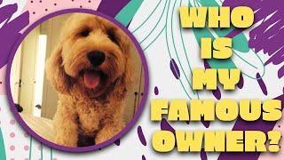 CELEBRITY PETS  How many do you know?  Famous Pets