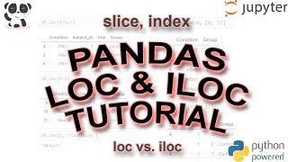 Pandas Tutorial: Slicing & Indexing Using loc & iloc