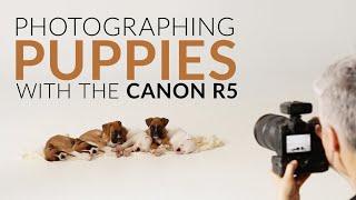 Photographing Puppies with the Canon R5