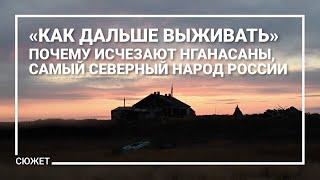 «Как дальше выживать». Почему исчезают нганасаны, самый северный народ России