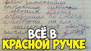 Проверяю рабочие тетради по русскому языку - 3 класс #42