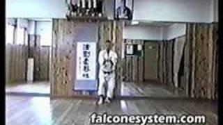 AN ICHI MIYAGI - SAIFA - FALCONE'S SYSTEM INTERNATIONAL