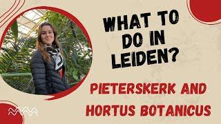 What to do in Leiden? Visiting Pieterskerk and Hortus Botanicus!