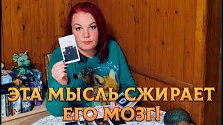 ЭТА МЫСЛЬ СЖИРАЕТ ЕГО МОЗГ!