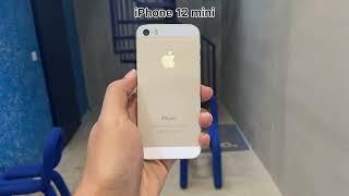 iPhone 5s vs iPhone 12 mini | CAMERA TEST 