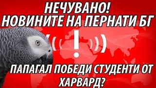 НОВИНИТЕ НА ПЕРНАТИ БГ: НЕЧУВАНО!