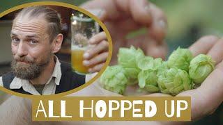 All Hopped Up - Medicinal Benefits of Hops