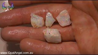 25CT Andamooka Crystal Opal Rough