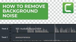 How to Remove Audio Background Noise in Camtasia