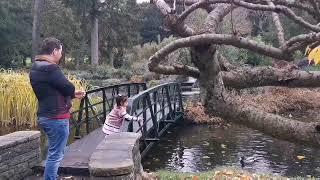 Traces of autumn | beauty of nature | Dublin Botanical Garden #thebrans #dublin #botanicalgarden