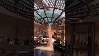 5 Star Hotel #viral #shorts #foryou #trending #tiktok #new #viralvideo #reels #shortvideo #instagram