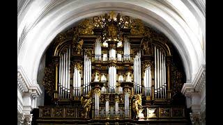 Catholic Meditation with Organ Sounds 17 | Non-Stop Organ Sounds, Catholic Prayer