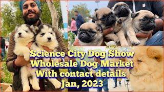 Wholesale Puppy Market in Punjab, Jalandhar | Recent Prices | Science City Dog Show 2023 | KCI | UKC