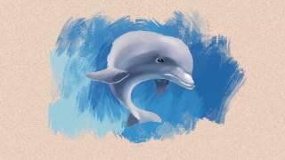 Dolphin Transformation