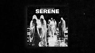 Dark Loop Kit “SERENE” (10 Loops) | 21 Savage, Asap Rocky, Travis Scott, Drake