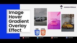 Image Hover Gradient Overlay Effect Using CSS | Coder Uncle