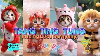 TANG TING TUNG VERSI KUCING LUCU DAN KAWAN KAWAN TERBARU