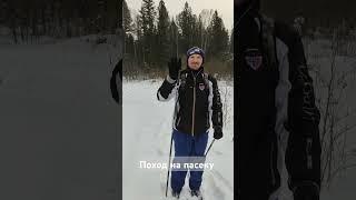 Пасека Нижние Бараки. Лыжный поход