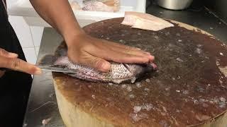 Cara fillet ikan gurame mudah dan cepat