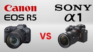 Canon EOS R5 VS Sony Alpha 1